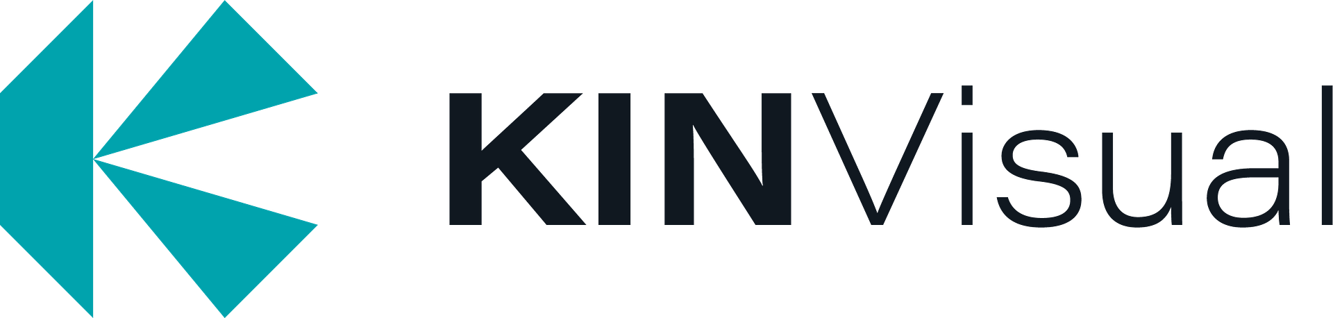 LOGO KinVisual
